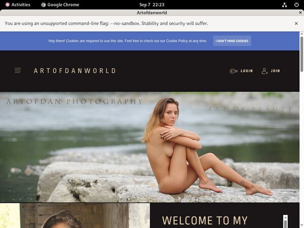 Artofdan Signup Form Artofdan Signup Form