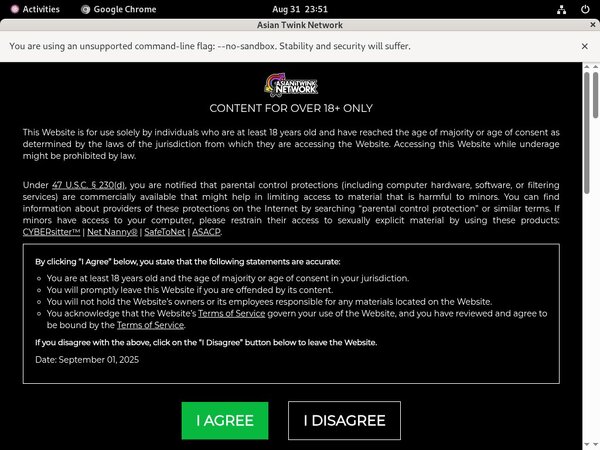 Asiaboyvideo Review Site
