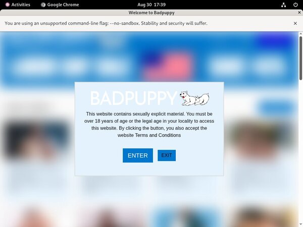 Bad Puppy Account Password