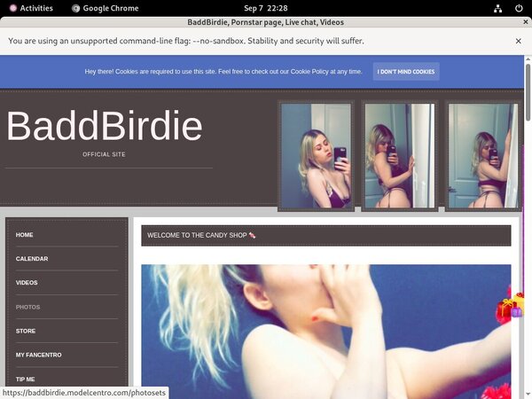 BaddBirdie Login Passwords
