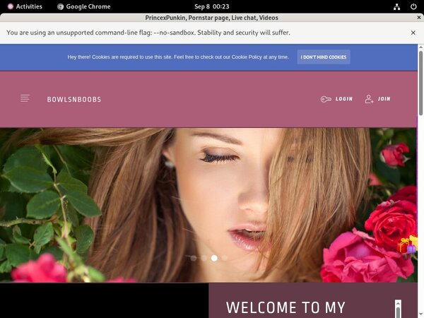 Bowlsnboobs.modelcentro.com Site Review