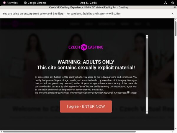 Czech VR Casting Join With SMS
