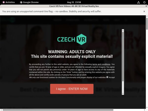 Czech VR Casting Torrent