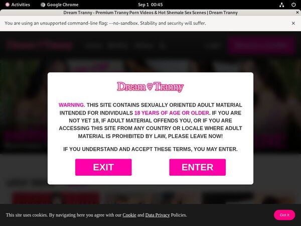 Dream Tranny Free Trial Membership