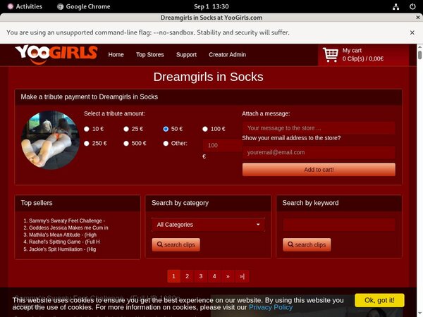 DreamgirlsInSocks Discount Cheapest