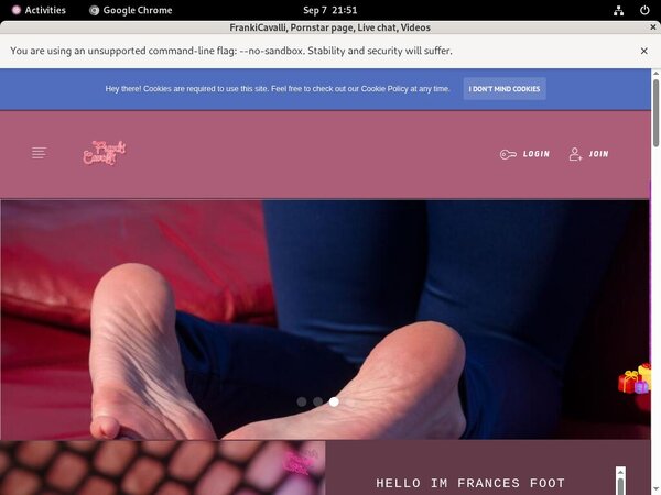 Frances.modelcentro.com Real Passwords