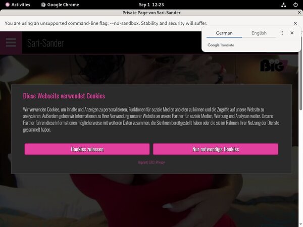 Free Account SariSander Offer Free Account SariSander Offer
