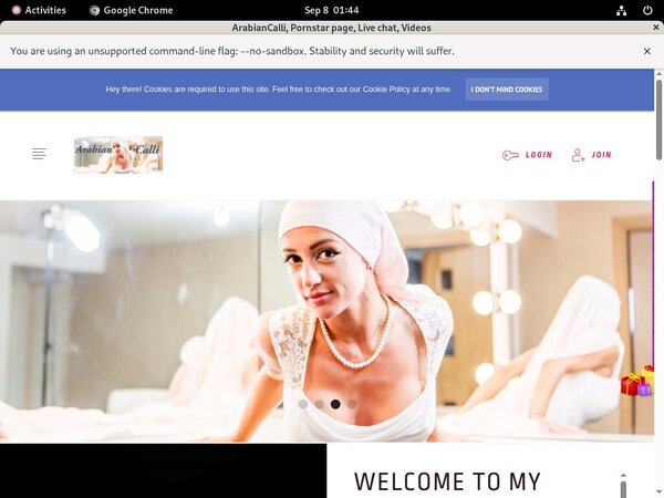 Free Arabiancalli.modelcentro.com Logins 2018