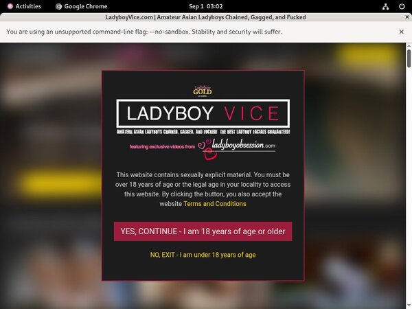 Free Ladyboyvice.com