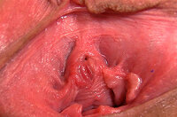 Gape My Pussy Sofort Zugang s0
