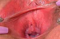 Gape My Pussy ??? ?? s0
