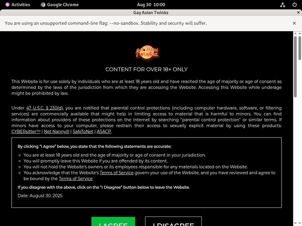 [Image: Gayasiantwinkzcom-Rocketpay.jpg]