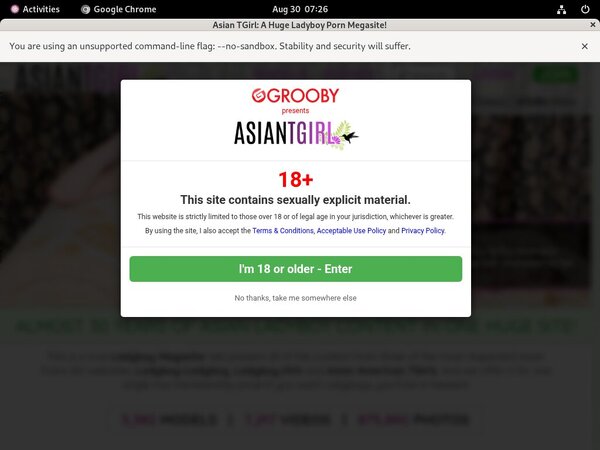 Ladyboy Ladyboy 