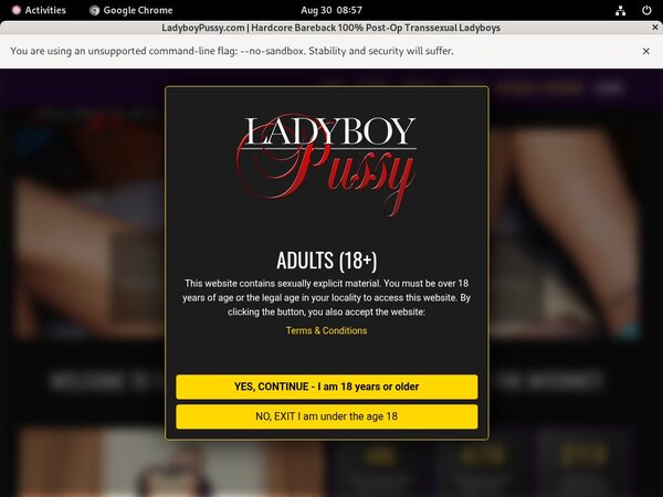 Ladyboy Pussy Discount Save 50%