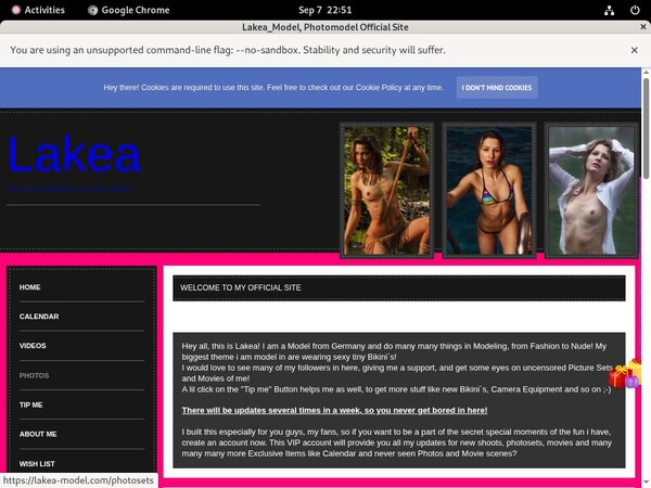 Lakea-model.com Account Blog