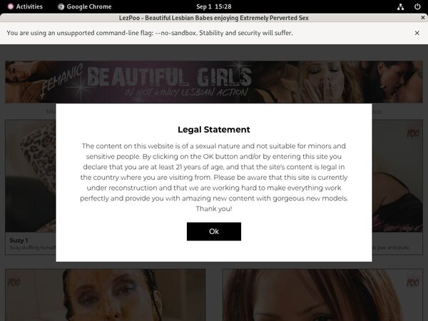 Lezpoo Discount Review