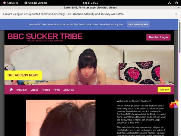 Linxer2013.modelcentro.com Get Free Trial