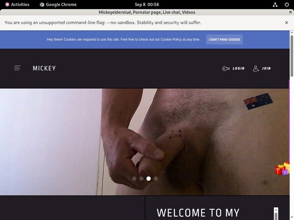 Mickeyelderstud.modelcentro.com Pass Login
