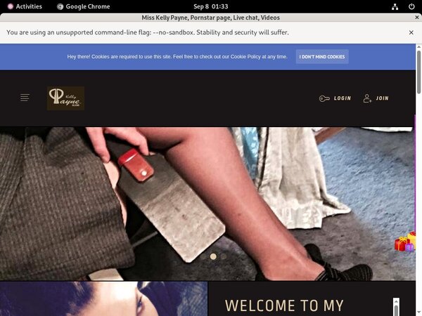 Misskellypayne.modelcentro.com Active Password