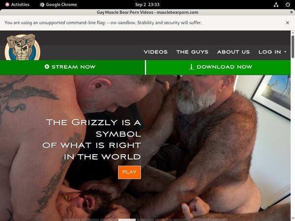 Muscle Bear Porn Logon