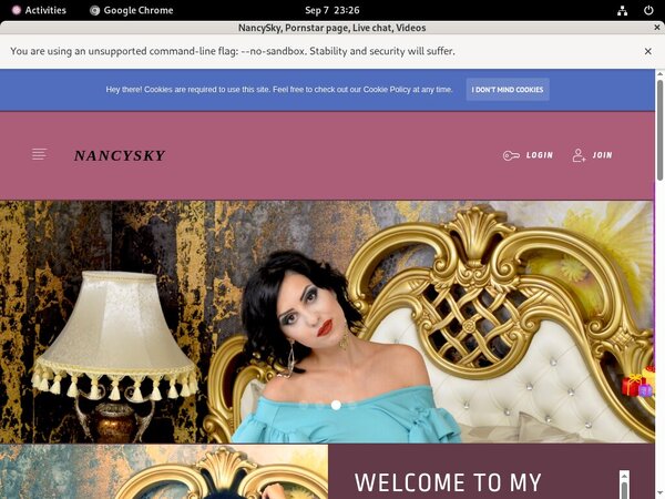 Nancysky.modelcentro.com Update