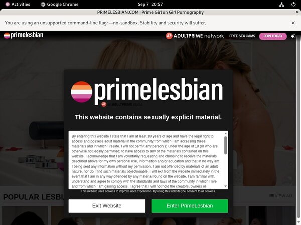 Primelesbian Billing Page