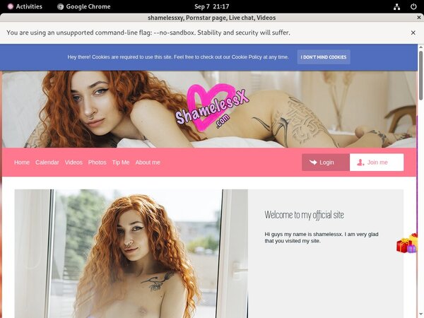 Shamelessxy Checkout Page