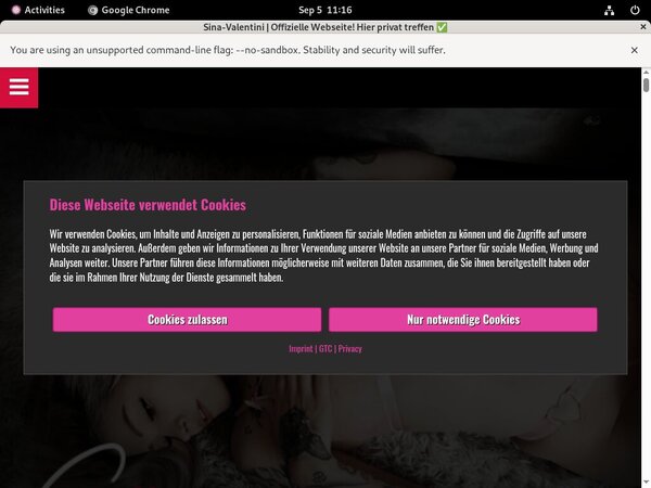 [Image: Sina-Valentini-Customer-Support.jpg]