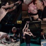 Subspaceland.com Account Gratis Subspaceland.com Account Gratis