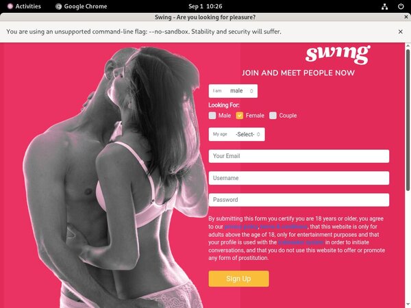 [Image: Swingnet-Checkout.jpg]