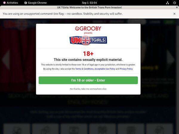 UK TGirls Discount Password