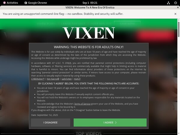 Vixen Girls